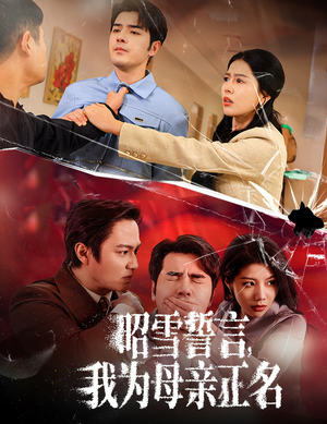 27.昭雪誓言我为母亲正名（60集）观看软件