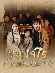 重生1975开局撕毁回城调令（83集）哪个短剧网能看