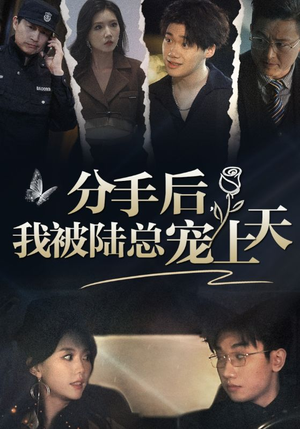 分手后，我被陆总宠上天（76集）全集都在这里了