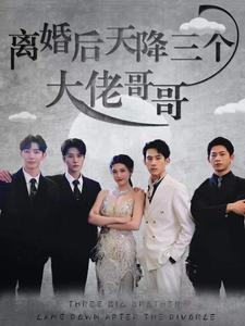 离婚后天降三个大佬哥哥（83集）爱短剧爱追剧