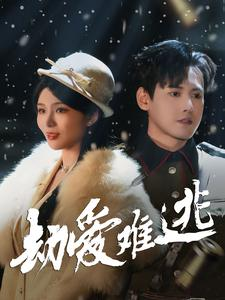 24.劫爱难逃（30集）免费短剧合集