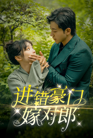 进错豪门嫁对郎（72集）百度网盘在线看