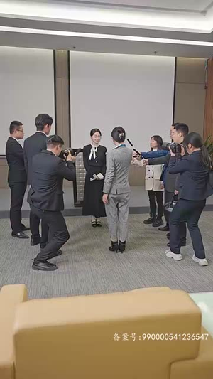 财阀家的大少爷（100集）免费看全集
