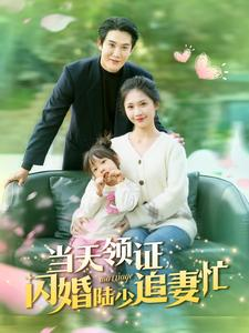 当天领证闪婚陆少追妻忙（80集）短剧全集更精彩