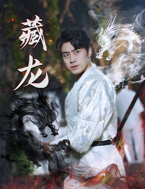 藏龙（74集）全集免费