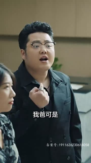 巅峰神婿（100集）网盘在线观看