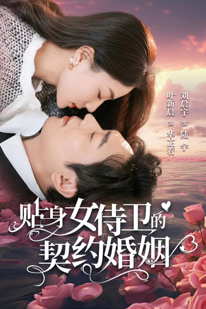 贴身女侍卫的契约婚姻（91集）短剧追到爽