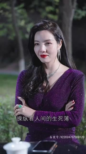归来之豪门风云（82集）解说