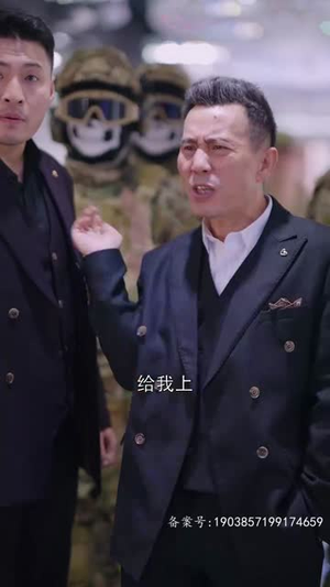 亮剑之龙帅归来（75集）热播短剧分享