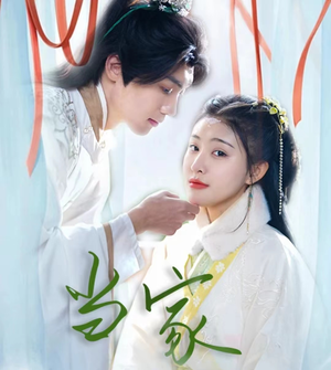 傻子王爷娇宠妃&当家（50集）免费短剧看全集