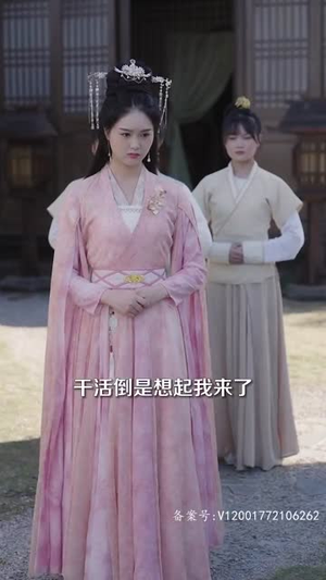 王妃今天休夫了吗（100集）最火短剧热播