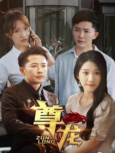 新版：尊龙（97集）最火短剧推荐