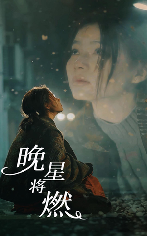 晚星将燃（93集）爆款短剧追不停