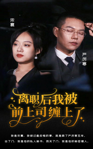 离职后，我被前上司缠上了（100集）精彩短剧热播