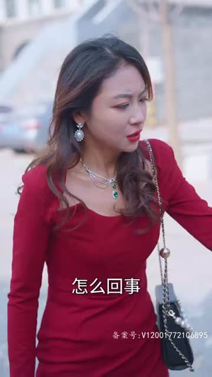 世仁之重回巅峰（91集）热播短剧重燃