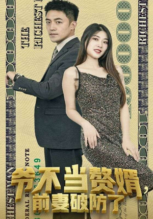 爷不当赘婿，前妻破防了（80集）1-102集