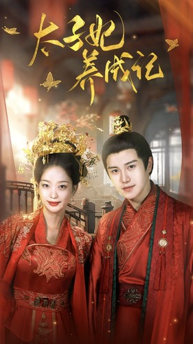 太子妃养成记（97集）零花钱看整部剧