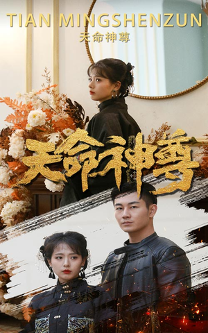天命神尊（102集）在线看
