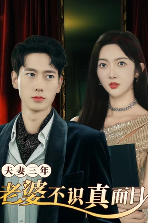 夫妻三年老婆不识真面目（83集）越看越好看短剧