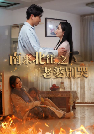 南来北往之老婆别哭（87集）1-102集