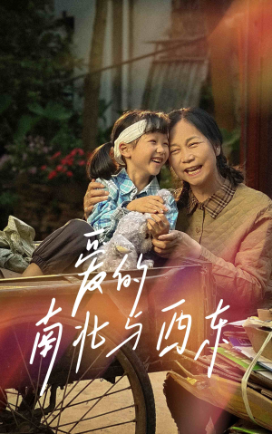 爱的南北与西东（57集）精彩短剧下载