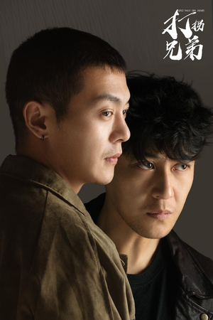 打拐兄弟（30集）短剧热播中