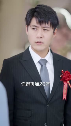 彩礼谈崩后继承万亿家产（100集）在哪个平台看