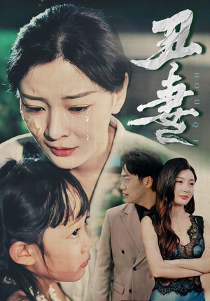 丑妻（66集）一口气看完全集