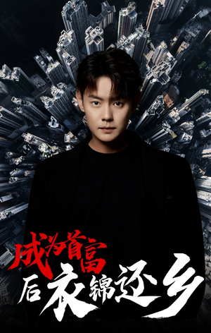 成为首富后衣锦还乡（30集）红果免费短剧