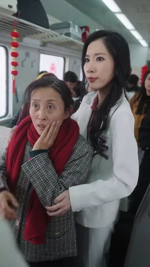 春运归途团圆年（40集）全网独播免费看