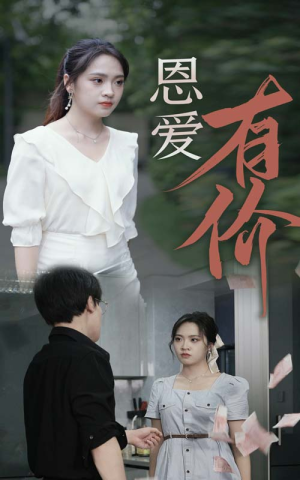 恩爱有价（31集）UC网盘在线看