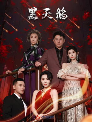 黑天鹅（51集）完整版