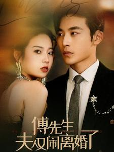 傅先生夫人又闹离婚了（80集）红果免费短剧