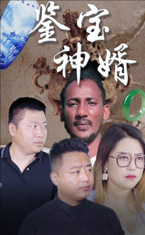 鉴宝神婿（87集）免费看