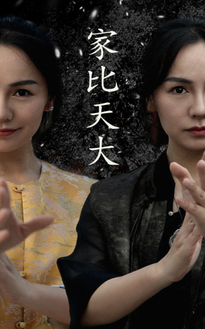 家比天大（63集）免费短剧看不停