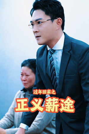 过年回家之正义薪途（40集）红果免费看短剧