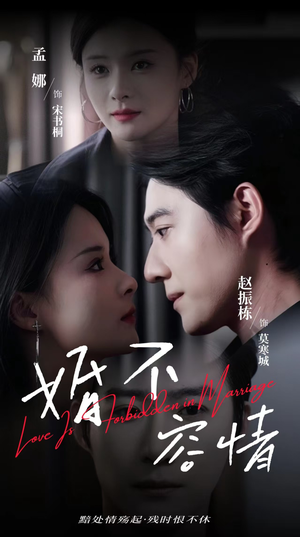 婚不容情（89集）好看的短剧
