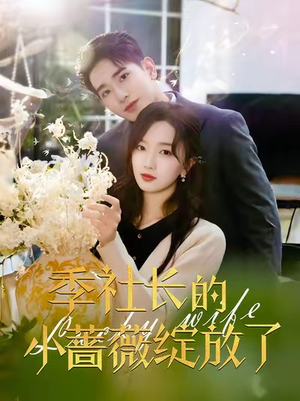 季社长的小蔷薇绽放了（60集）热门短剧追到爽