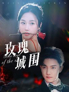 玫瑰城围（78集）一口气追完全集