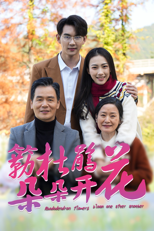 簕杜鹃花朵朵开（38集）精彩短剧免费看