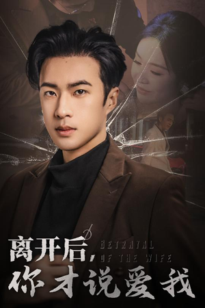 离开后，你才说爱我（30集）百度网盘在线看