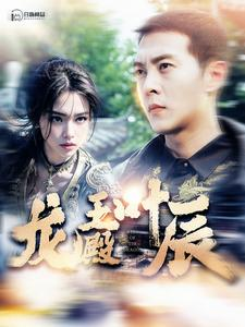 龙王殿叶辰（100集）完整版免费观看