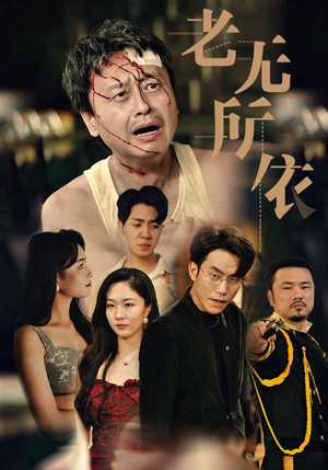 老无所依（57集）精彩短剧下载