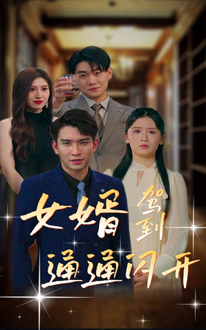 女婿驾到，通通闪开（34集）免费看短剧全集