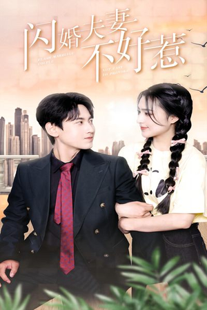 闪婚夫妻不好惹（90集）精彩短剧天天看