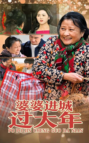 婆婆进城过大年（33集）每天分享短剧