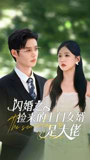 闪婚之捡来的上门女婿是大佬（79集）精彩短剧后续