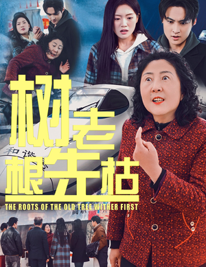 树老根先枯（33集）精彩片段