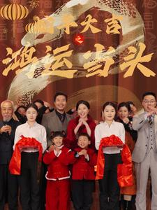 蛇年大吉之鸿运当头（63集）演的怎么样