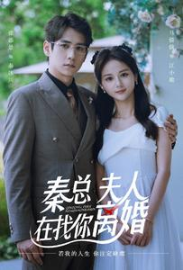 秦总，夫人在找你离婚（79集）UC网盘在线看